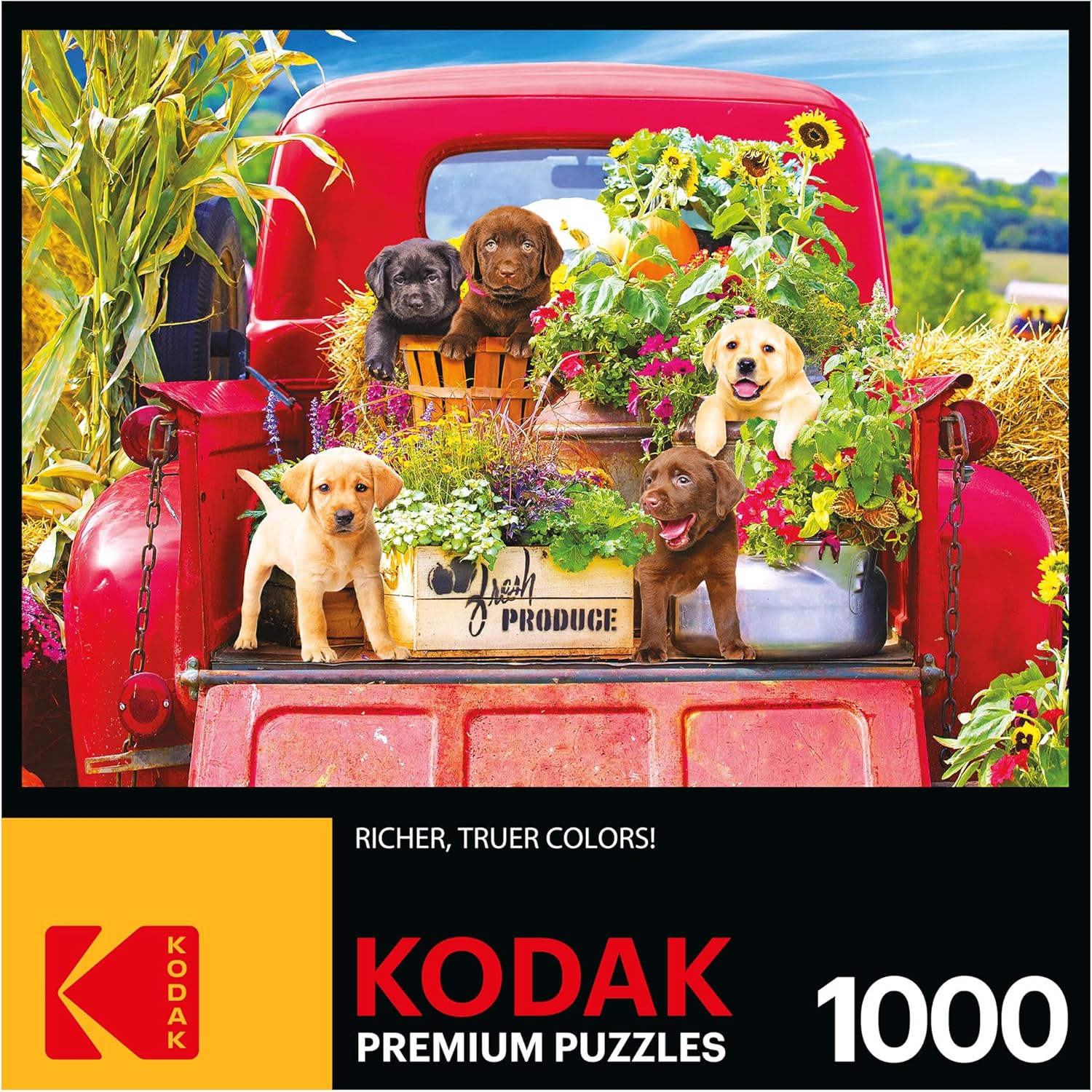 New RoseArt Kodak Premium Stowaways 1000 - Piece Jigsaw Puzzle - Kidsy