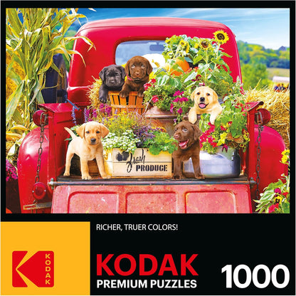 New RoseArt Kodak Premium Stowaways 1000 - Piece Jigsaw Puzzle - Kidsy