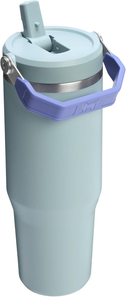 New Stanley IceFlow 2.0 Flip Straw Tumbler 30 oz (Blue Cactus) - Kidsy