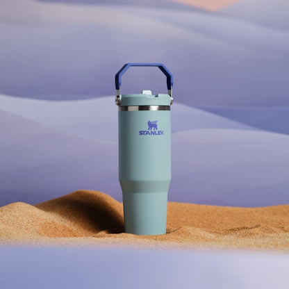 New Stanley IceFlow 2.0 Flip Straw Tumbler 30 oz (Blue Cactus) - Kidsy