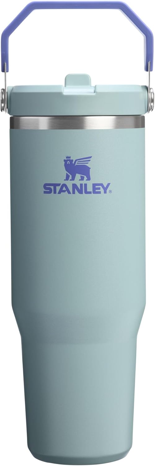 New Stanley IceFlow 2.0 Flip Straw Tumbler 30 oz (Blue Cactus) - Kidsy