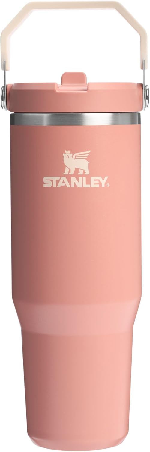 New Stanley IceFlow 2.0 Flip Straw Tumbler 30oz (Sienna) - Kidsy
