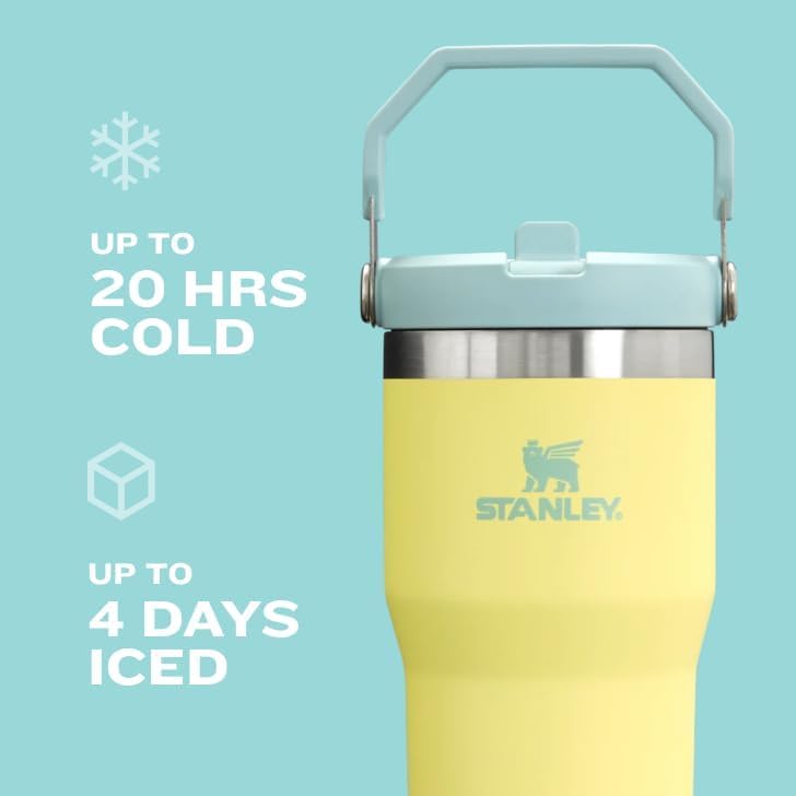 New STANLEY IceFlow 2.0 Flip Straw Tumbler with Handle 30 oz, Prickly Pear - Kidsy