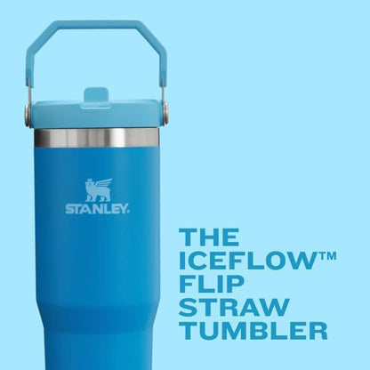New STANLEY IceFlow 2.0 Flip Straw Tumbler with Handle 30 oz, Prickly Pear - Kidsy