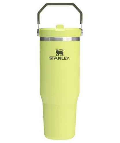 New STANLEY IceFlow 2.0 Flip Straw Tumbler with Handle 30 oz, Prickly Pear - Kidsy