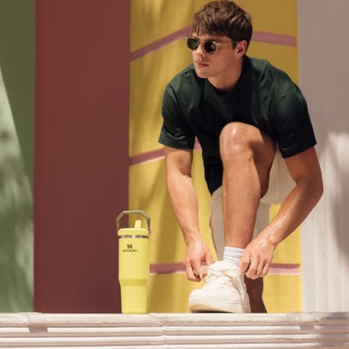 New STANLEY IceFlow 2.0 Flip Straw Tumbler with Handle 30 oz, Prickly Pear - Kidsy