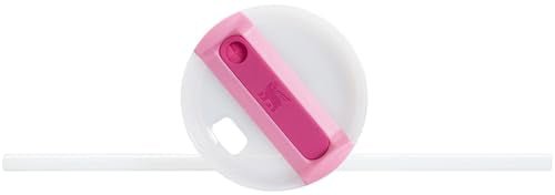 New Stanley Quencher H2.0 40 oz Tumbler with Handle (Peony) - Kidsy