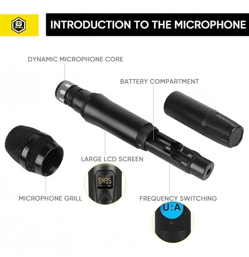 New W IN - MIX Wireless Metal Handheld Dynamic Microphone System (SK20001) - Kidsy