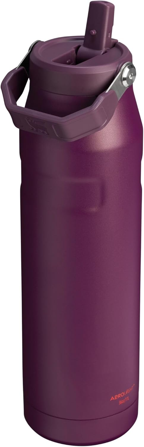 Stanley IceFlow Flip Straw 2.0 Water Bottle (Plum, 36 oz) - Kidsy