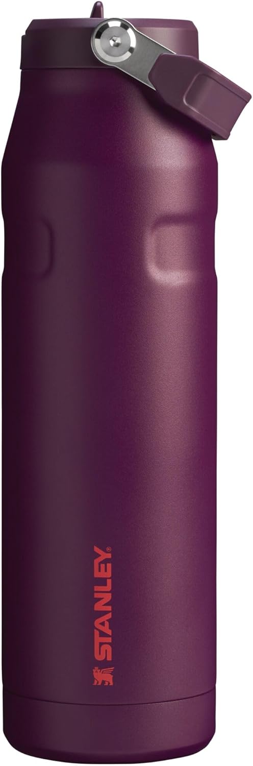 Stanley IceFlow Flip Straw 2.0 Water Bottle (Plum, 36 oz) - Kidsy