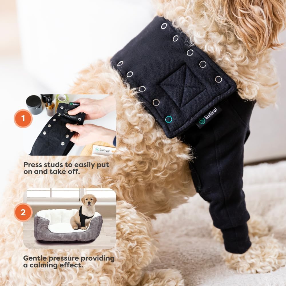 Suitical Recovery Sleeve for Dogs, Front Leg Protection, Large (Black) - Kidsy