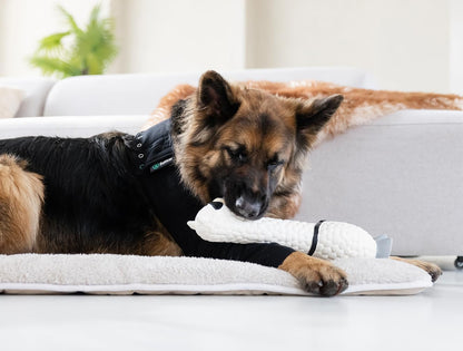 Suitical Recovery Sleeve for Dogs, Front Leg Protection, Large (Black) - Kidsy