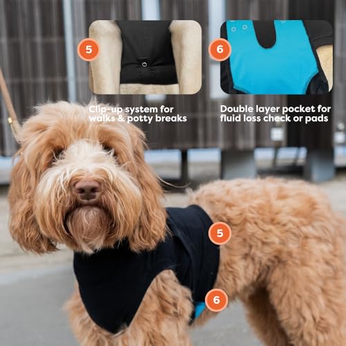 Suitical Recovery Suit Dog, Medium (Black) - Kidsy