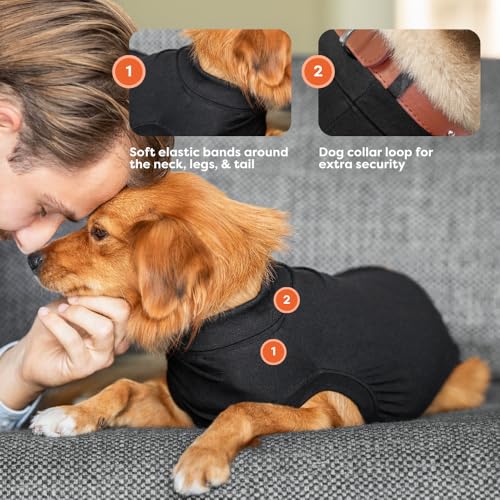 Suitical Recovery Suit Dog, Medium (Black) - Kidsy