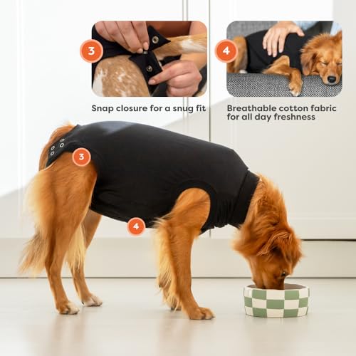 Suitical Recovery Suit Dog, Medium (Black) - Kidsy