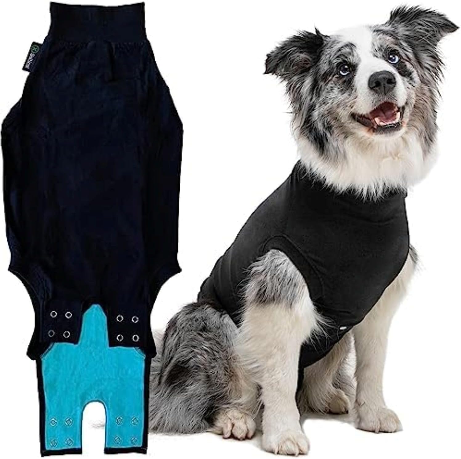 Suitical Recovery Suit for Dogs, Small Plus - 19.3–22.4" (Black) - Kidsy