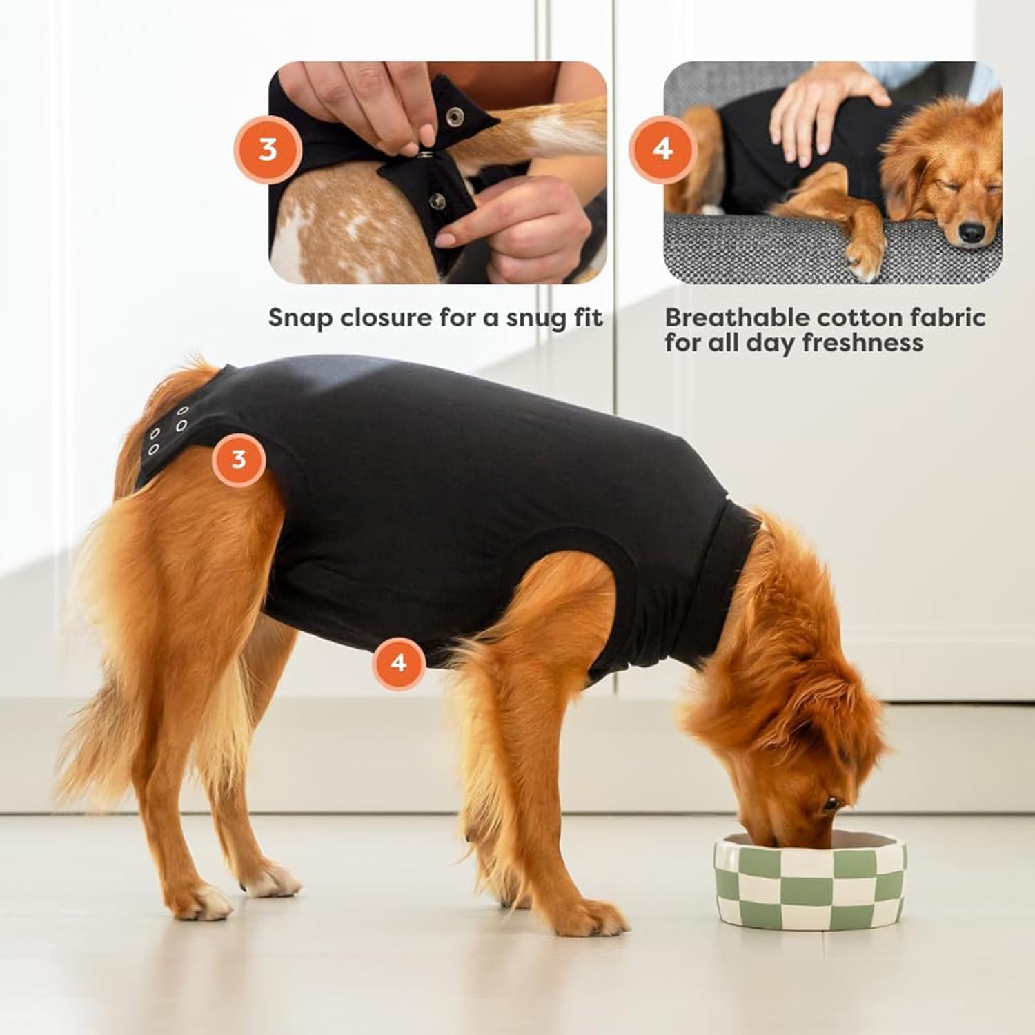 Suitical Recovery Suit for Dogs, Small Plus - 19.3–22.4" (Black) - Kidsy