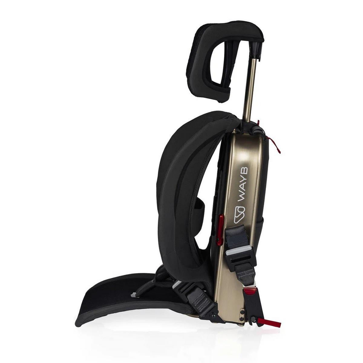 WAYB Pico Toddler Car Seat (Earth) - Kidsy