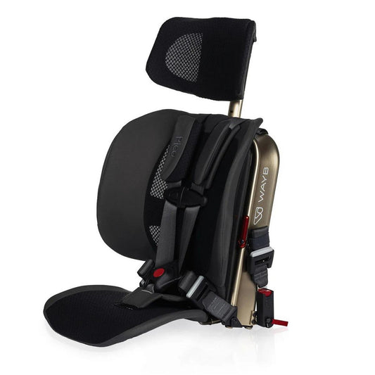 WAYB Pico Toddler Car Seat (Earth) - Kidsy