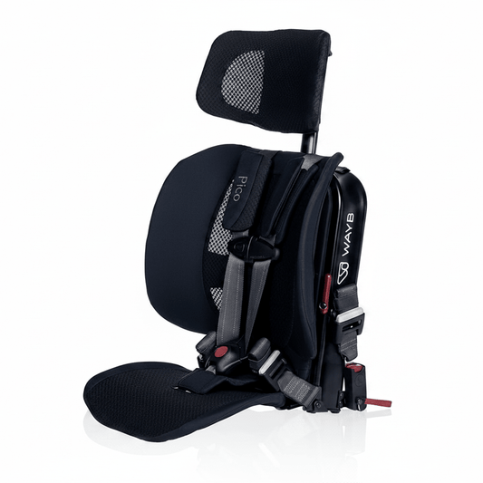 WAYB Pico Travel Car Seat (Black/Grey) - Kidsy