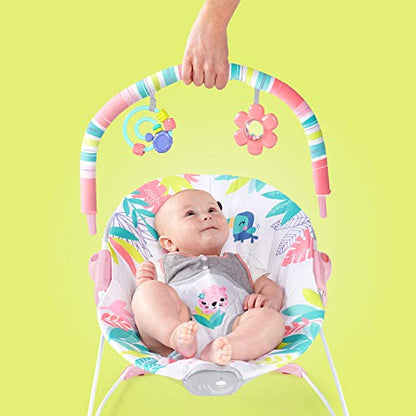 Bright Starts Baby Bouncer Infant Seat (Flamingo Vibes, Pink)