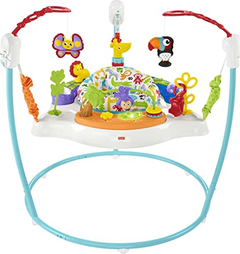 New Fisher-Price Baby Bouncer Animal Activity Jumperoo