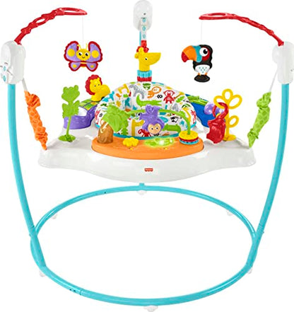 New Fisher-Price Baby Bouncer Animal Activity Jumperoo