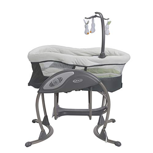 New Graco DuoGlider Swing (Rascal)