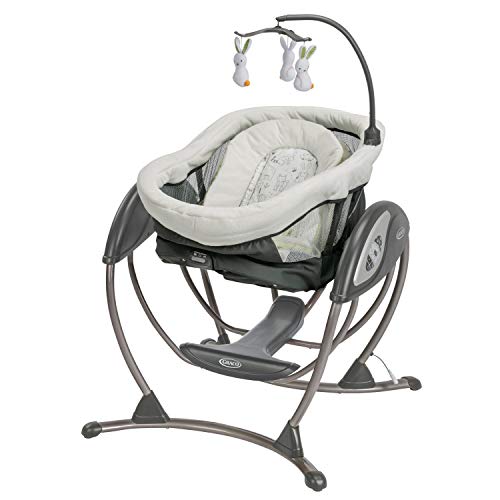 New Graco DuoGlider Swing (Rascal)