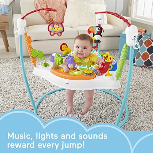 New Fisher-Price Baby Bouncer Animal Activity Jumperoo