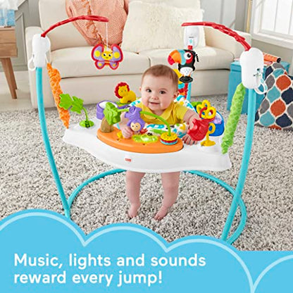 New Fisher-Price Baby Bouncer Animal Activity Jumperoo