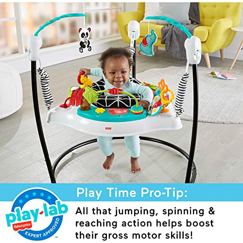 New Fisher-Price Baby Bouncer Animal Wonders Jumperoo Activity Center