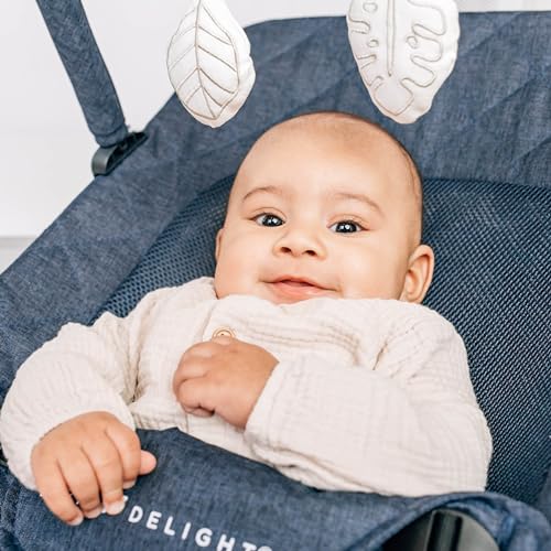 New Baby Delight Alpine Deluxe Portable Bouncer (Quilted Indigo)