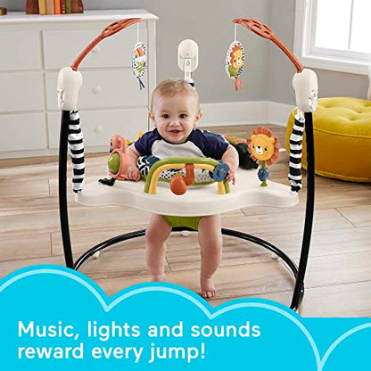 New Fisher-Price Baby Bouncer Jumperoo Activity Center (Palm Paradise)