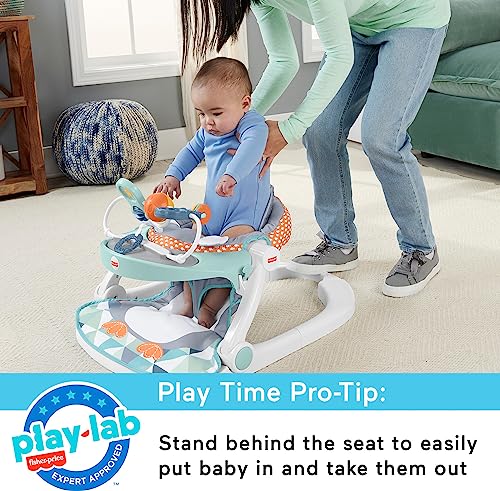 New Fisher-Price Baby Portable Baby Chair Sit-Me-Up Floor Seat (Penguin Island)