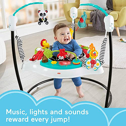 New Fisher-Price Baby Bouncer Animal Wonders Jumperoo Activity Center