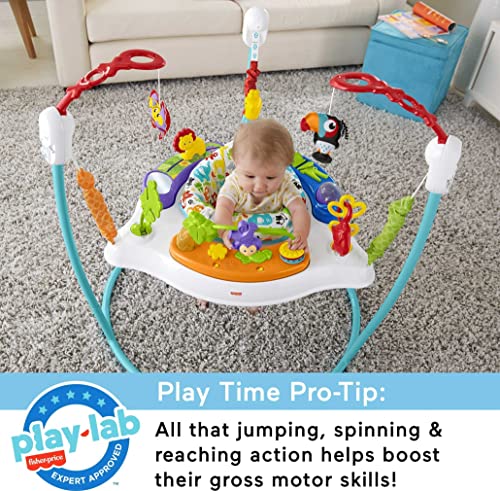 New Fisher-Price Baby Bouncer Animal Activity Jumperoo