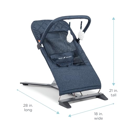 Baby Delight Alpine Deluxe Portable Bouncer (Quilted Indigo) - Kidsy
