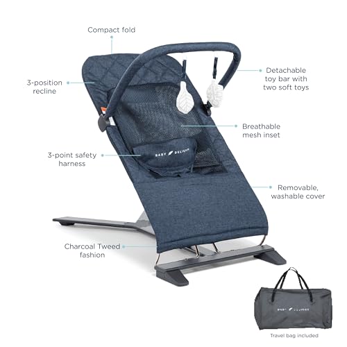 Baby Delight Alpine Deluxe Portable Bouncer (Quilted Indigo) - Kidsy