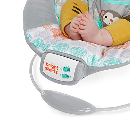 Bright Starts Comfy Baby Bouncer (Whimsical Wild) - Kidsy