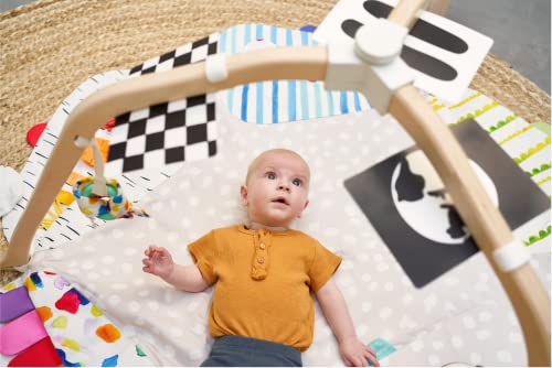 New Lovevery Play Gym – Stage - Based Activity Mat for Baby to Toddler - Kidsy